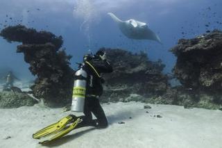 Lady Elliot Island Eco Resort 외부 사진