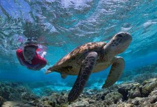 Lady Elliot Island Eco Resort 외부 사진