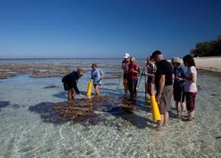 Lady Elliot Island Eco Resort 외부 사진